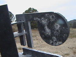 Close-up of the dueling tree target.